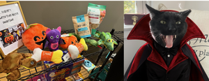 Schenck Price Supports St. Hubert's Animal Welfare Center for Halloween